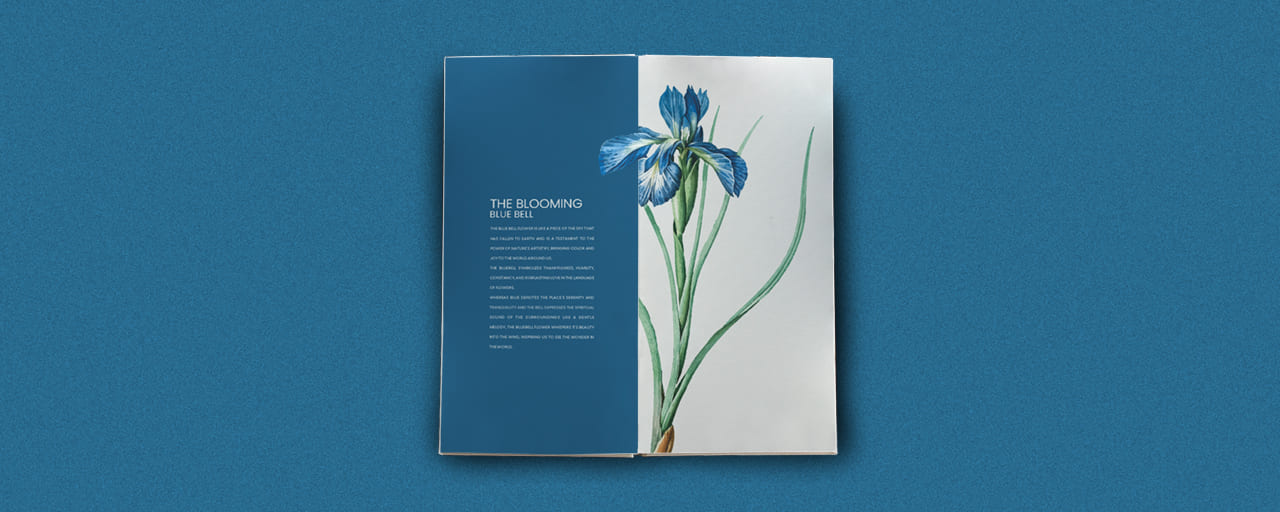 Bluebell Brochure